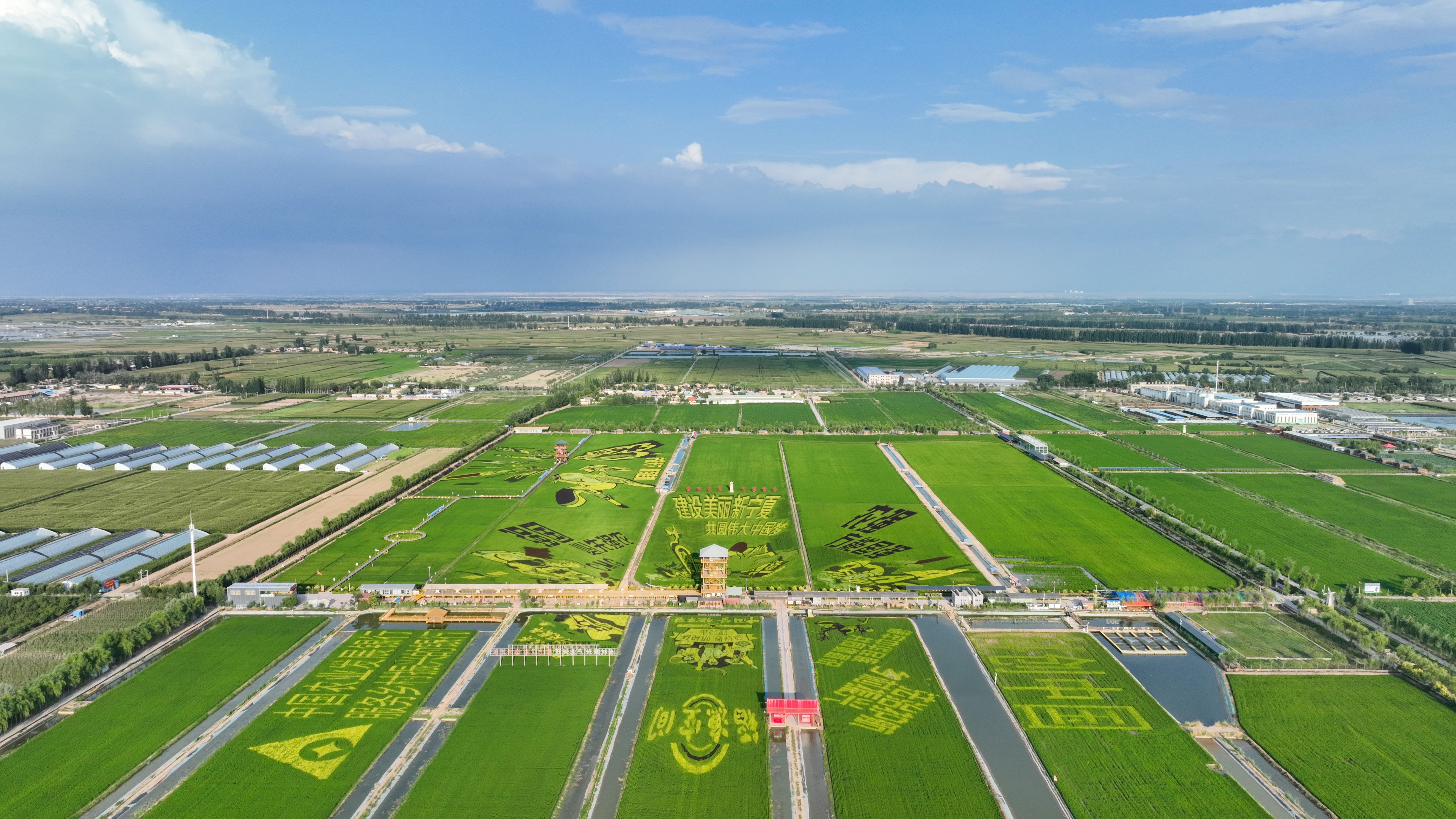 香港六合彩实时开奖